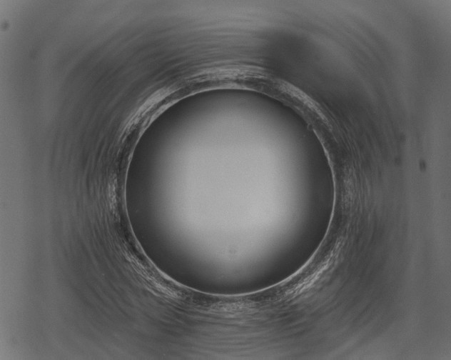 X0000068810778200605121249