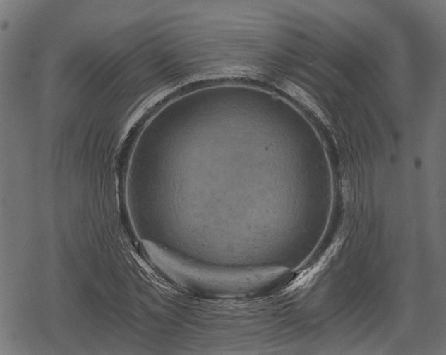 X0000068810781200605121249