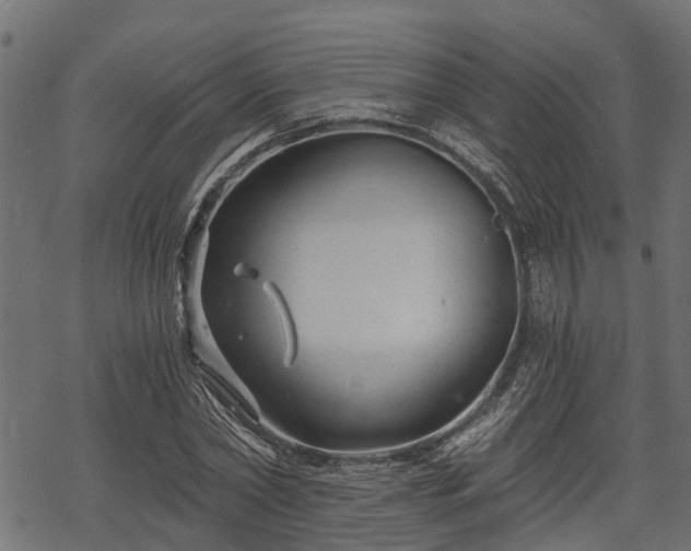 X0000068810782200605121249