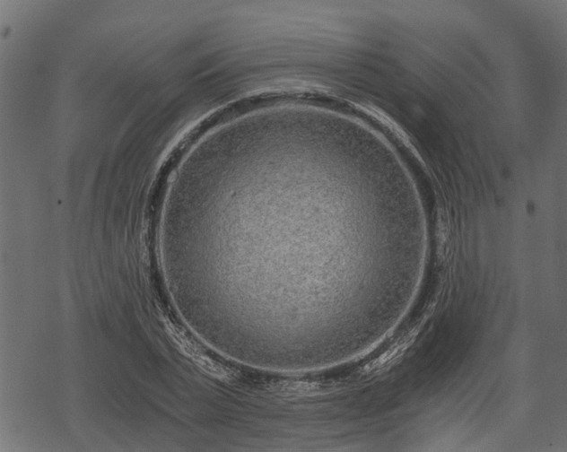 X0000068810783200605121249