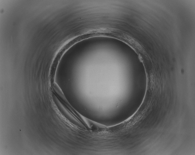 X0000068810784200605121249