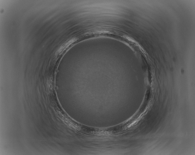 X0000068810785200605121249