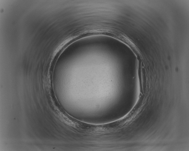 X0000068810787200605121249