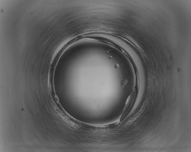 X0000068810788200605121249