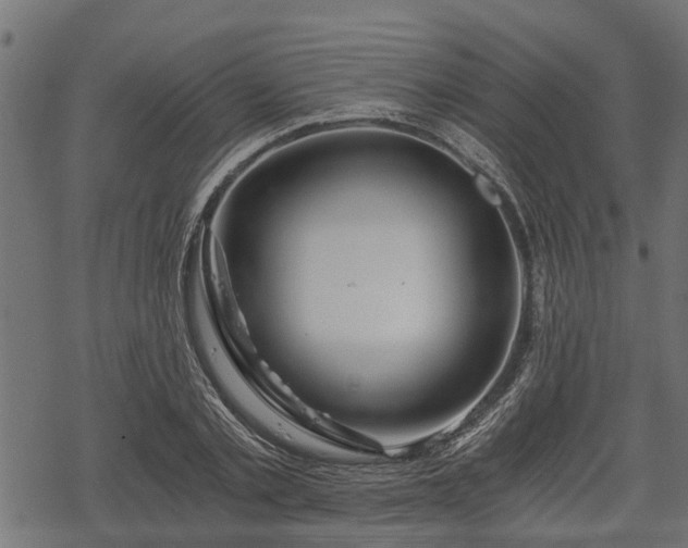 X0000068810789200605121249