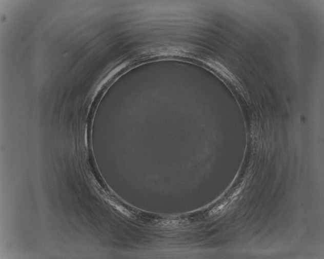 X0000068810790200605121249