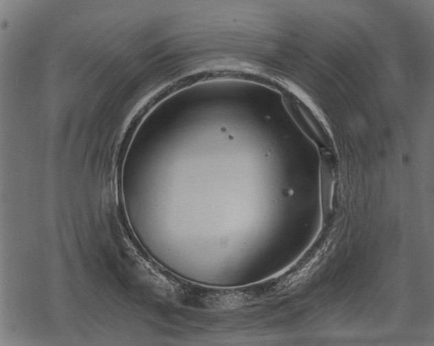 X0000068810791200605121249