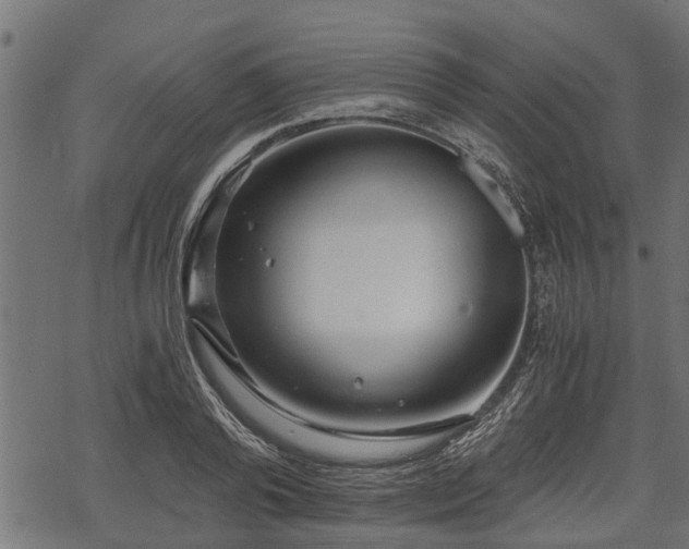 X0000068810792200605121249