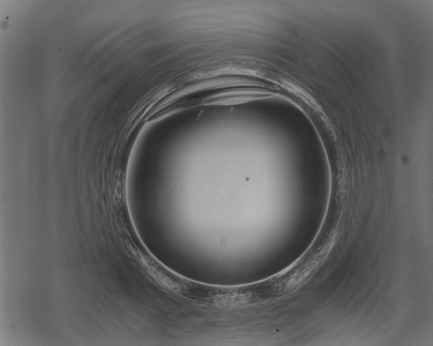 X0000068810793200605121249