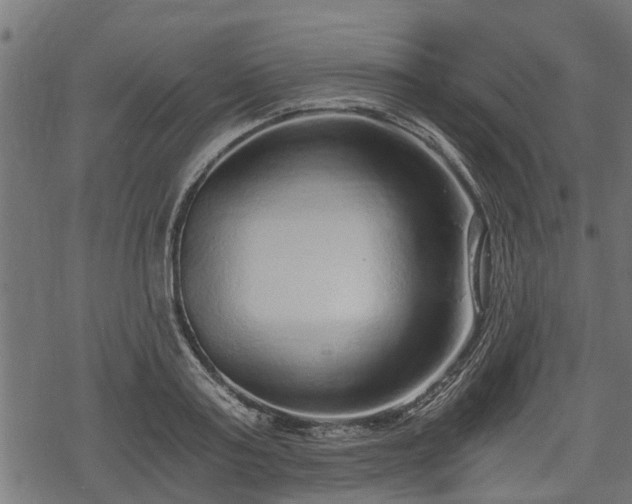 X0000068810795200605121249