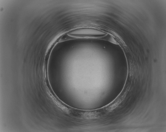 X0000068810796200605121249