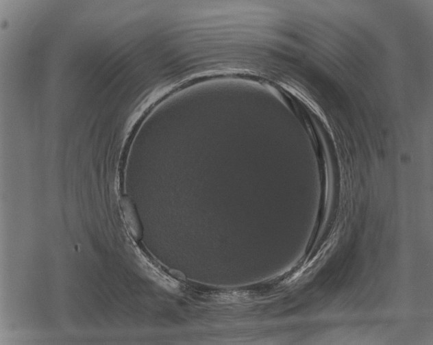 X0000068810797200605121249