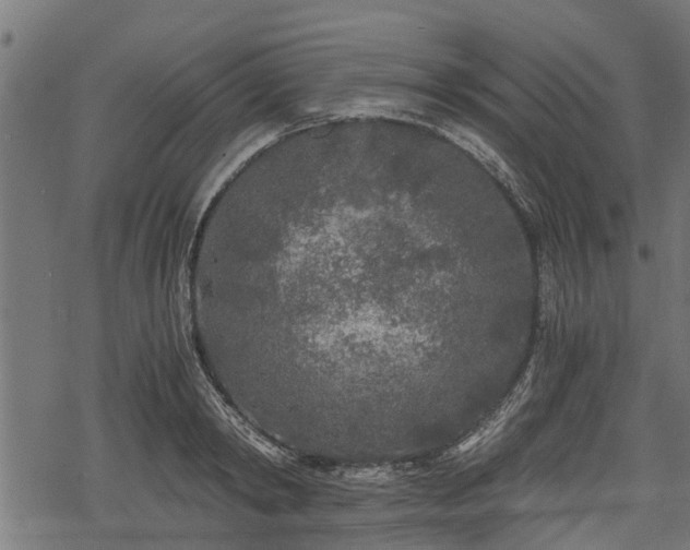 X0000068810798200605121249