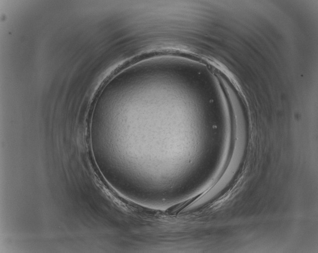 X0000068810799200605121249