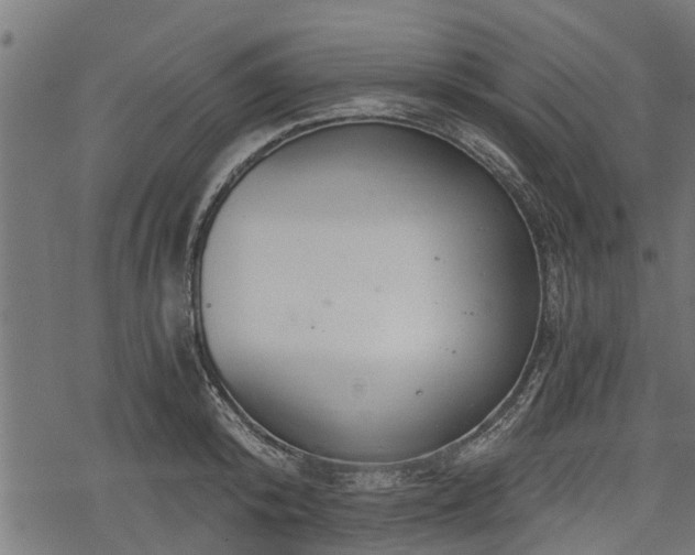 X0000068810800200605121249