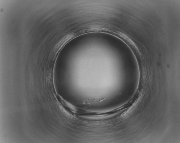 X0000068810801200605121249