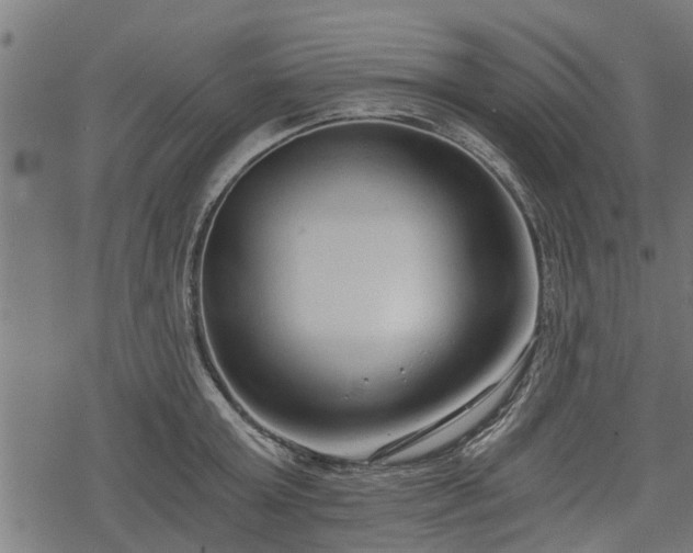 X0000068810803200605121249