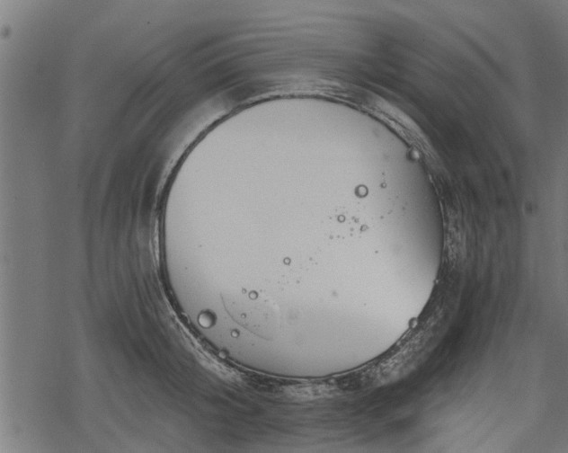 X0000068810804200605121249