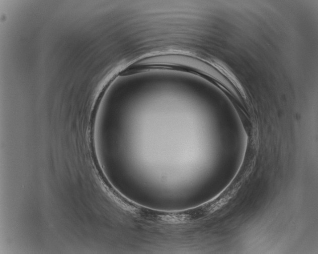 X0000068810805200605121249