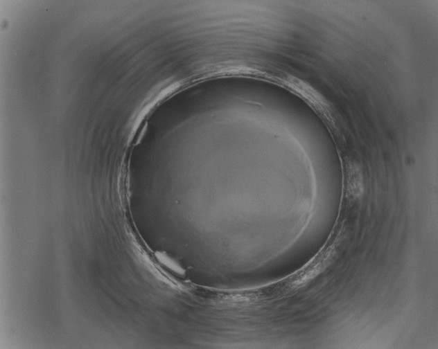 X0000068810806200605121249