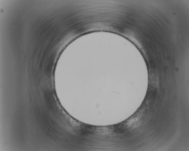 X0000068810807200605121249