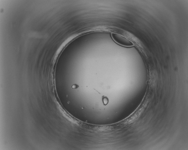 X0000068810808200605121249