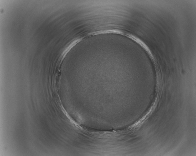 X0000068810809200605121249