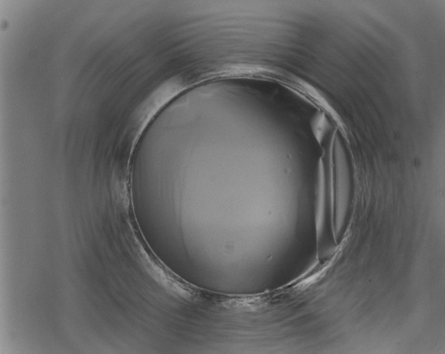 X0000068810810200605121249