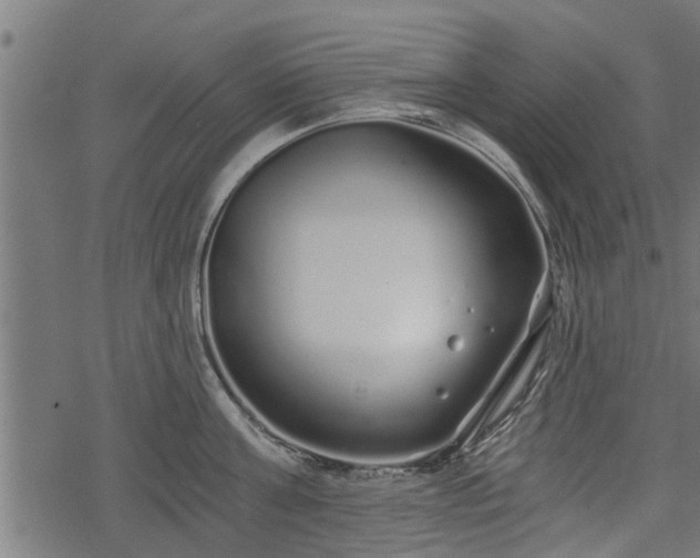 X0000068810811200605121249