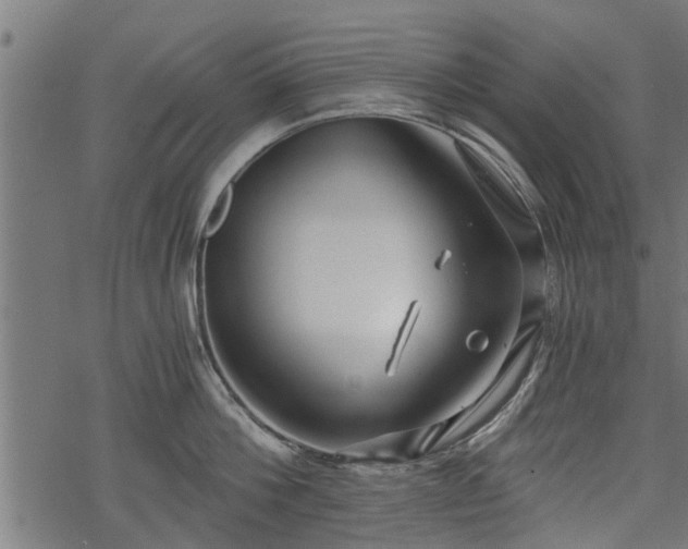 X0000068810812200605121249