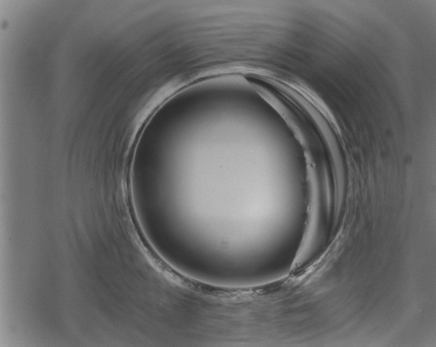 X0000068810813200605121249