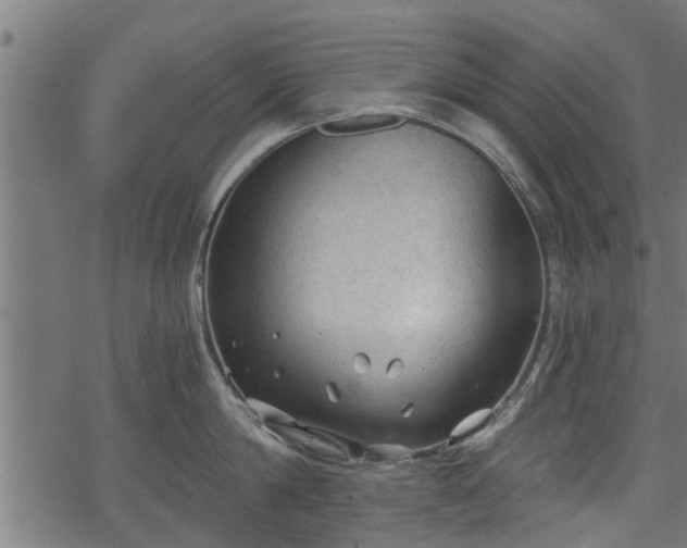 X0000068810814200605121249