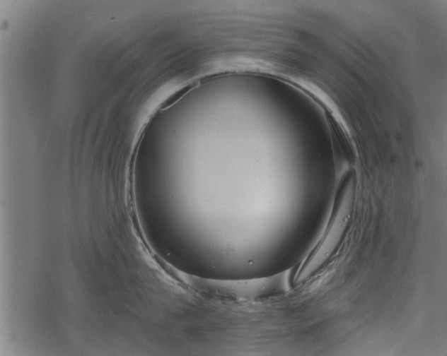 X0000068810815200605121249