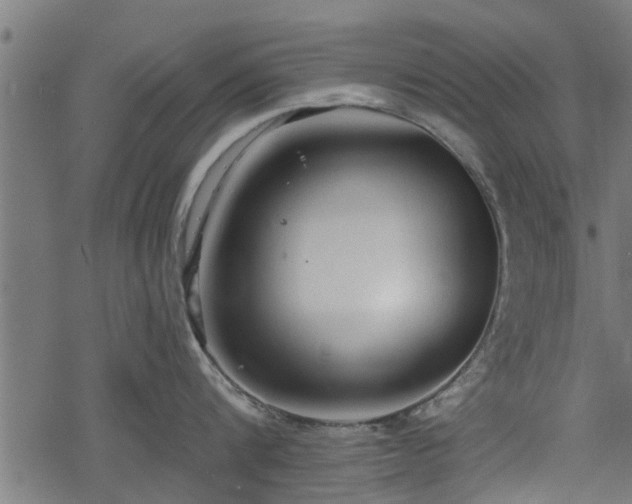 X0000068810816200605121249