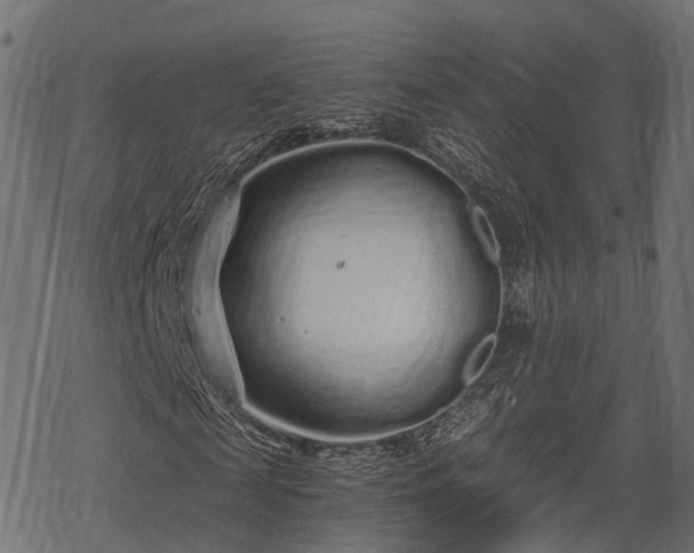 X0000068810817200605121248