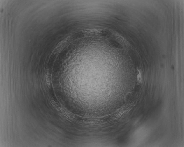 X0000068810819200605121248