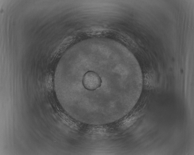 X0000068810820200605121248