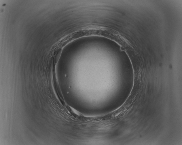 X0000068810821200605121248