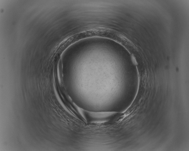 X0000068810822200605121248