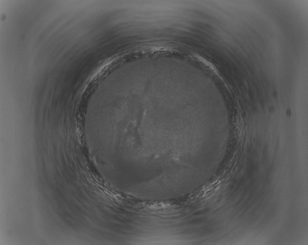 X0000068810823200605121248