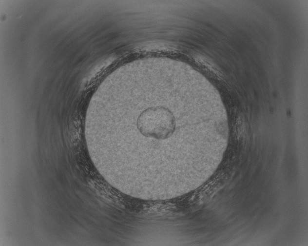 X0000068810824200605121248