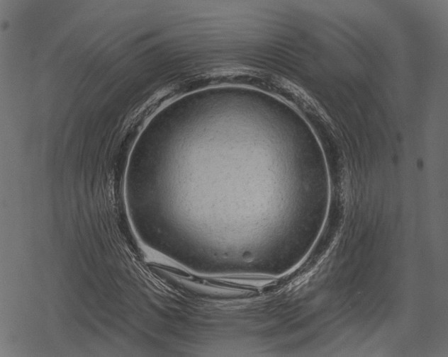 X0000068810825200605121248