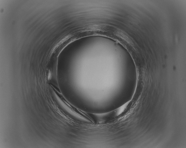 X0000068810826200605121248