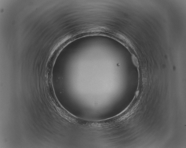 X0000068810827200605121248