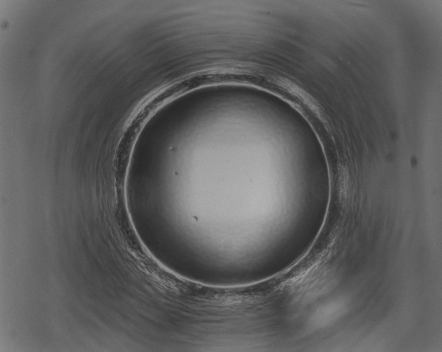 X0000068810829200605121248