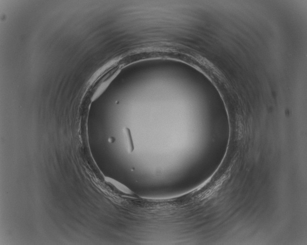 X0000068810830200605121248