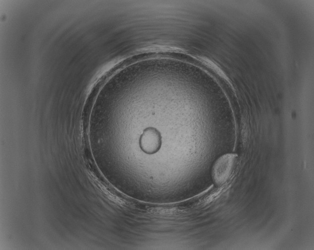 X0000068810831200605121248