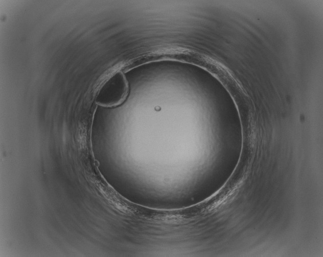 X0000068810833200605121248