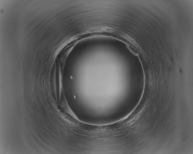 X0000068810834200605121248