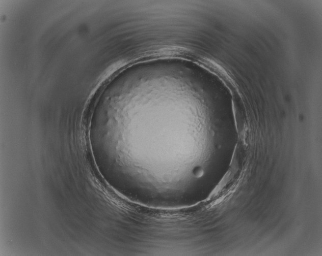 X0000068810835200605121248